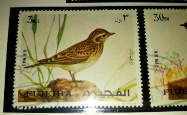 estampillas compra venta series aves birds stamps stamp filatelia philatelic emiratos arabes unidos