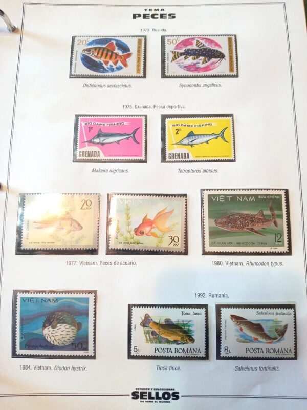 estampillas peces sellos coleccion fish stamps filatelia philatelic philatelist